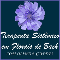 Terapeuta Sistêmico em Florais de Bach com Olinda Guedes